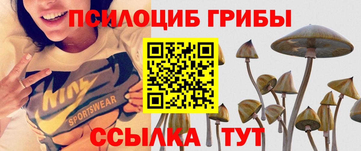 Вятские Поляны  Псилоцибиновые грибы мухоморы  Вход с VPN 